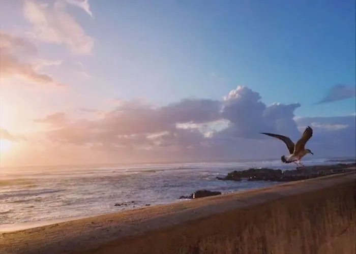 Casa Da Fatima, בית נופש Vila Cha (Porto)